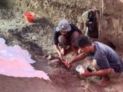 Ekskavasi Fosil Gajah Purba di Patiayam Kudus: Seperempat Kerangka Elephas hysudrindicus Telah Terkuak