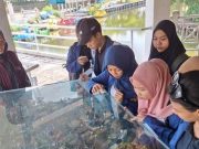 Mahasiswa Prodi Pariwisata USM Praktikum di Tracking Mangrove Grand Maerakaca PRPP