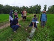 Tim PKM USM Beri Pendampingan Perencanaan Saluran Irigasi di Desa Sambirejo