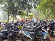 Di Antara Rindang Jati di Buper Jati Chinde, Terselip Harmoni Parkir yang Tertata Rapi
