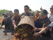 Diproyeksikan Jadi Sentra Rumput Laut, Sekali Panen Pantai Bondo Hasilnya Cuan Ratusan Juta Rupiah