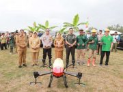 Bupati Kebumen Panen Raya Padi Corporate Farming di Gombong