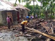 Hujan Deras di Kebumen Akibatkan Rumah Ambruk dan Pohon Tumbang