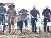 Bupati Pimpin Tanam Jagung, Mendukung Swasembada Pangan Nasional