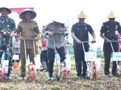 Bupati Pimpin Tanam Jagung, Mendukung Swasembada Pangan Nasional