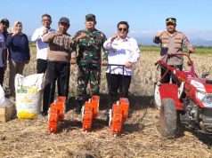 Dukung Ketahanan Pangan Nasional, Tanam Jagung di Lahan Perhutanan Sosial