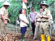 Panen Raya Kunyit dan Upaya Meningkatkan Pendapatan Petani