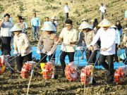 Tanam Jagung Serentak di Desa Selojari Grobogan, Kapolri Targetkan 1 Juta Hektare