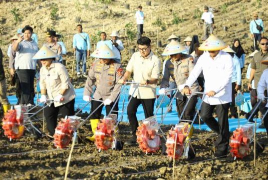 Tanam Jagung Serentak di Desa Selojari Grobogan, Kapolri Targetkan 1 Juta Hektare