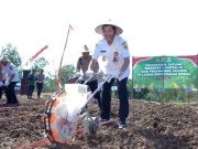 Wabup dan Kapolres Sragen Tanam Jagung Serentak di Lahan Perhutanan Sosial
