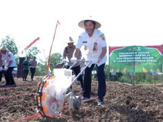 Wabup dan Kapolres Sragen Tanam Jagung Serentak di Lahan Perhutanan Sosial