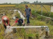 Tokoh Masyarakat Datang ke Desa Pengkok, Tertarik Ikut Pasang Pompa Air Tenaga Surya