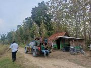 Perhutani KPH Purwodadi Perkuat Patroli Hutan Bareng Polisi dan LMDH