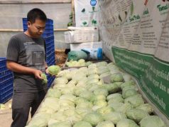 Ahmad Luthfi Dukung Regenerasi Petani Muda Jawa Tengah dengan Program Zilenial