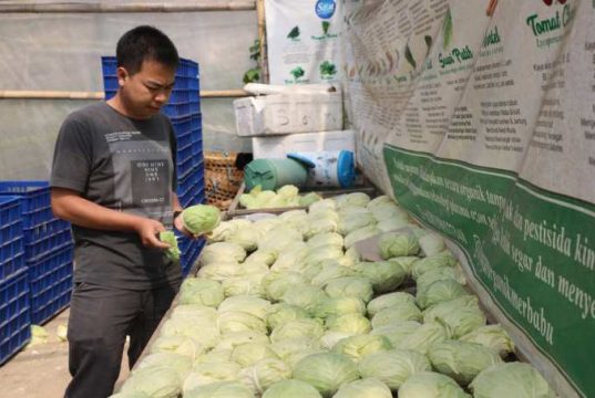 Ahmad Luthfi Dukung Regenerasi Petani Muda Jawa Tengah dengan Program Zilenial