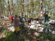 Warga Kepoh Jati Blora Bersama TNI Pecahkan Batu untuk Bangun Infrastruktur Desa