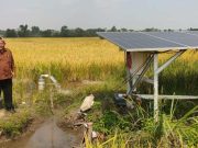 Kades Pengkok Sragen Gunakan Pompa Air Tenagar Surya untuk Airi Sawahnya