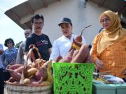 Pemkot Semarang Tanam Singkong di Lahan Kosong untuk Ketahanan Pangan