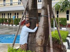 Viral! Bupati Kudus Sam’ani Peluk Pohon untuk Redakan Stres, Ini Penjelasan Ilmiahnya