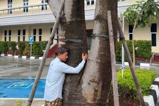 Viral! Bupati Kudus Sam’ani Peluk Pohon untuk Redakan Stres, Ini Penjelasan Ilmiahnya