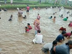 Parak Iwak, Tradisi Ruwatan Tangkap Lele dengan Tangan Kosong