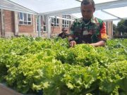 Dari Kandang Ayam Hingga Kebun Hidroponik: TMMD Kodim 0722/Kudus Bangun Kemandirian Desa Kandangmas