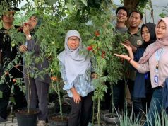 Mahasiswa KKN USM Beri Pendampingan Pengelolaan Taman Toga
