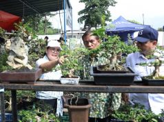 Pemkot Semarang Mau Mendirikan Akademi Bonsai