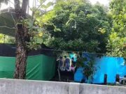 Misteri Kematian Bocah 4 Tahun di Grobogan: Makam Dibongkar, Ayah Angkat Diperiksa Polisi