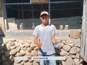 Merpati Pos Naik Daun di Semarang, Shavin Loft Jadi Inspirasi Penghobi Baru
