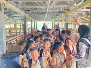 Wisata Edukasi Perah Susu, Cara Unik SDN 3 Tubanan Tutup MPLS