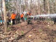 Jelang Musim Kemarau, Perhutani KPH Blora Raya – BPBD Gelar Simulasi Pencegahan Kebakaran