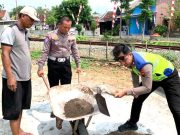 Cegah Korban Sia-sia, di Perlintasan KA Diberi Polisi Tidur