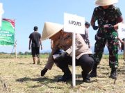 Polres Kebumen Tanam Jagung di Lahan Pesantren 3.500 M2