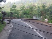 Pipa Perumda Tirta Aji Jebol, Tiang Listrik Tumbang Lumpuhkan Jalan Raya Watumalang