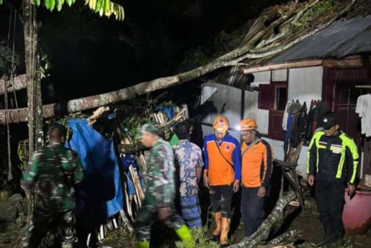 Tertimpa Pohon Petai Roboh, Rumah Warga di Gondang Rusak Parah