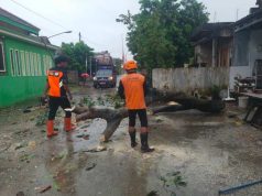 Angin Kencang Terjang Undaan Kudus, 42 Rumah Rusak di Dua Desa