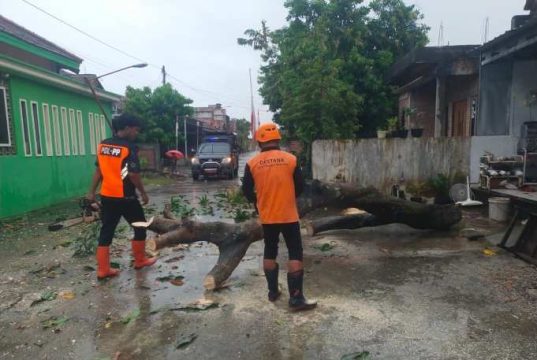 Angin Kencang Terjang Undaan Kudus, 42 Rumah Rusak di Dua Desa