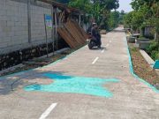 Mural One Piece Kreativitas Warga Grobogan Baru Dibuat Langsung Dihapus, Ini Penjelasannya