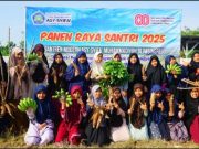 Ponpes Asy-Syifa’ Blimbingrejo Panen Raya Buktikan sebagai Jalan Kemandirian dan Keberkahan
