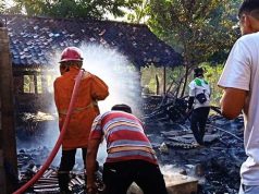 Api Bludukan Membakar Ludes Kandang Ternak, Dapur dan Rumah Induk