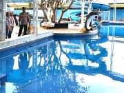 Seorang Anak Balita Ditemukan Meninggal di Kolam Renang