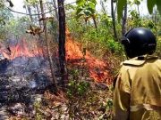 Padamkan Kebakaran Rumah dan Semak Belukar