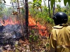 Padamkan Kebakaran Rumah dan Semak Belukar