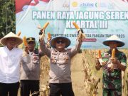 Wabup Zaeni Miftah Panen Jagung Bersama Petani Mitra Polres