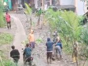 Jalan Rusak Parah, Warga Watumalang Tanami Pohon Pisang