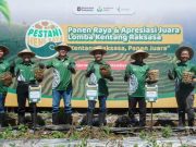 Dorong Swasembada Pangan, Petrokimia Gresik Gelar Lomba Kentang Raksasa di Dieng Raya