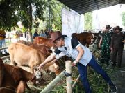 Hasil Ternak Jawa Tengah Berkontribusi Besar Secara Nasional