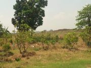 Ratusan Makam Warga Karangturi Kudus Tergusur Normalisasi Sungai Wulan