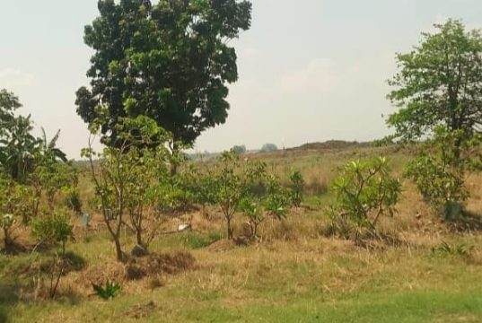 Ratusan Makam Warga Karangturi Kudus Tergusur Normalisasi Sungai Wulan